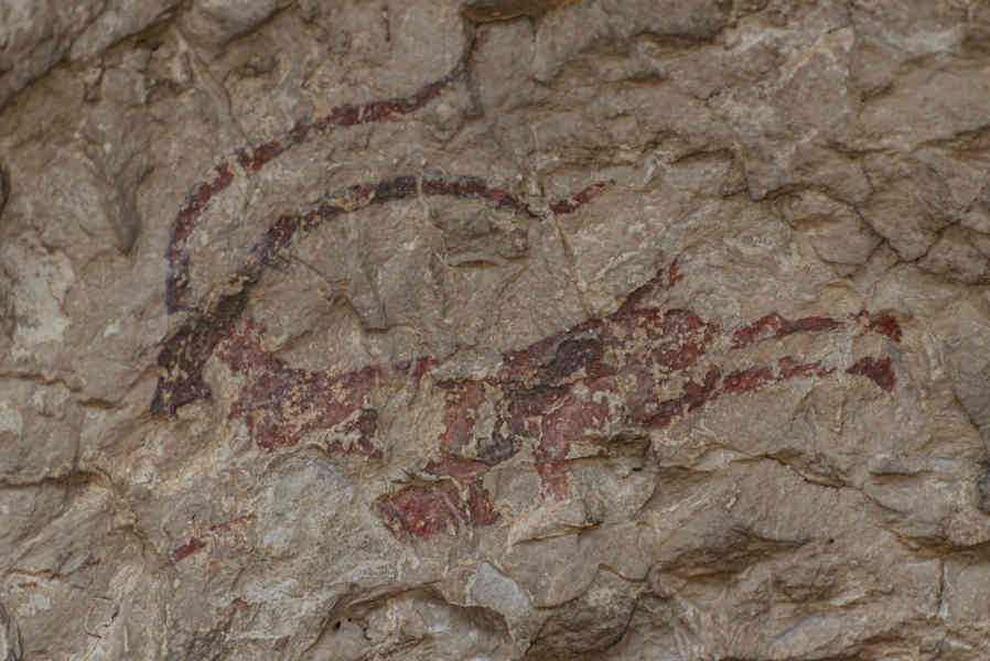 Castelló de la Plana - Ares del Maestrat - cova Remigia 11